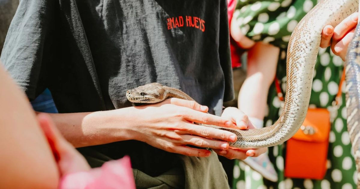 Things to do in Canberra this week (13 – 19 February)