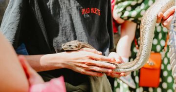 Things to do in Canberra this week (13 - 19 February)