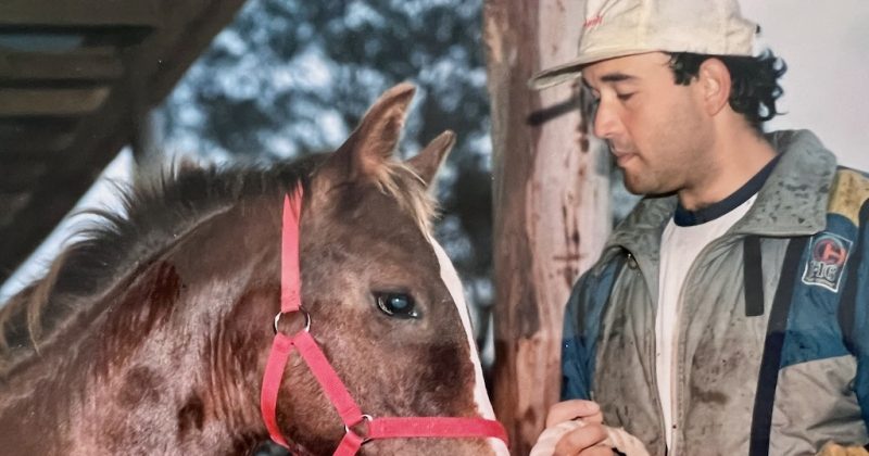 Learning to ride a quarter horse helps doctor recover balance following car smash