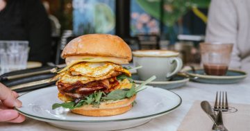 Eighty/Twenty Dickson? You bagel believe it!