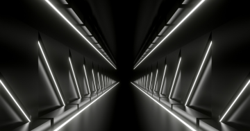 Corridor of Curiosities