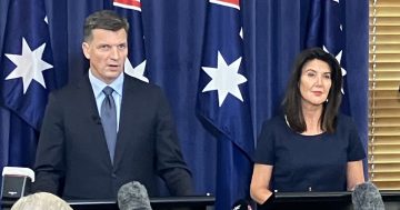 New Opposition Leader Taylor outlines his 'vision' for the Liberals and for Australia