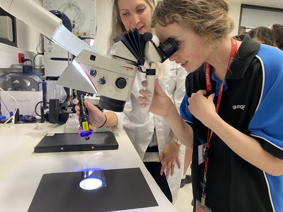 girl looking through a microscope