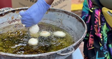 Cultural community feasts on the menu at the National Multicultural Festival
