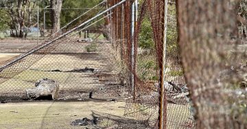 Another Big Splash situation has been quietly unfolding in Belconnen - and locals have had enough