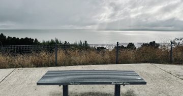 Better get those waterskis on: Lake George may be dry again within two years