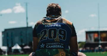 Will Rugby Australia make the most of the ladder-leading Brumbies?