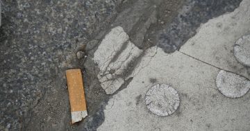 Here's the litter Canberrans are dumping the most