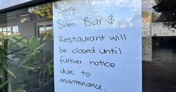 UPDATE: Cypher Brewing Co steps in to honour closed-Siren Bar's Valentine's bookings