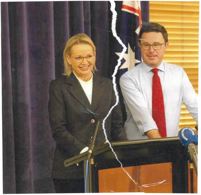 Sussan Ley and David Littleproud 