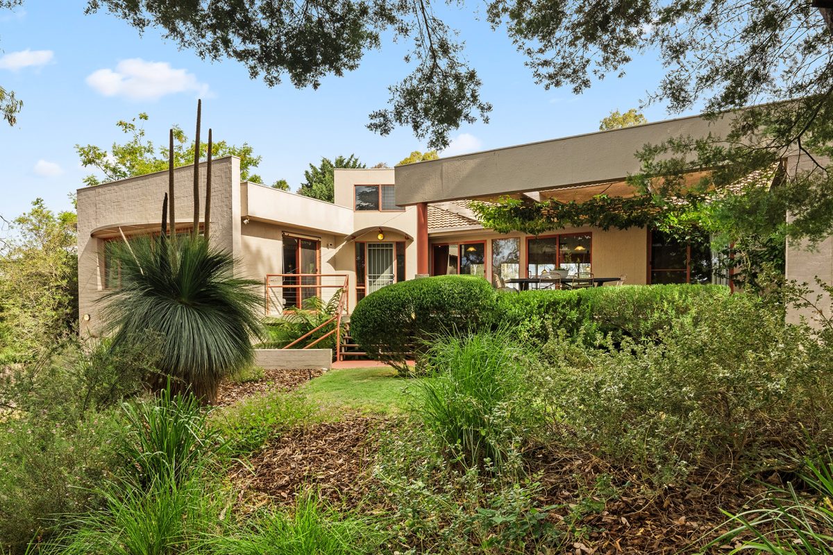 artistic home tucked into lush native landscaping
