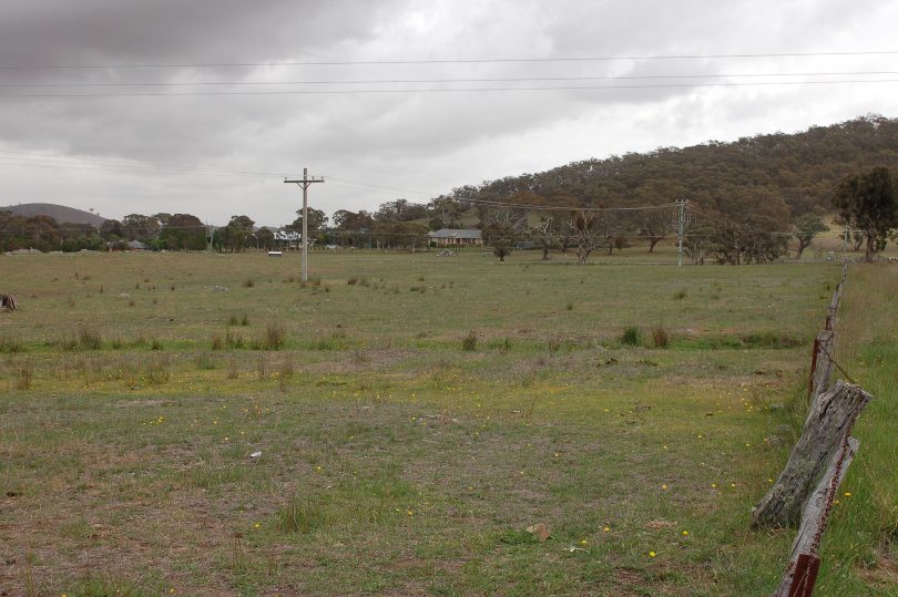 The proposed memorial park site along Burra Rd, looking west back across the site toward Mt Campbell.