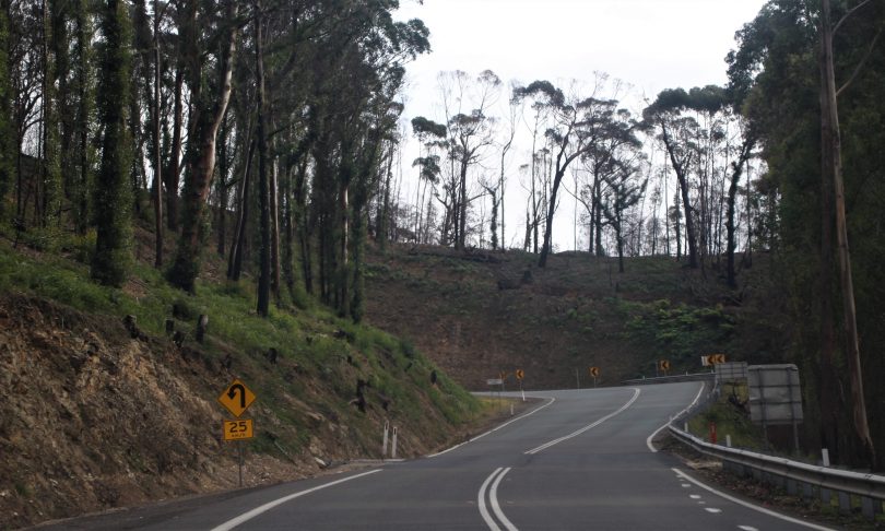 Kings Highway at Clyde Mountain