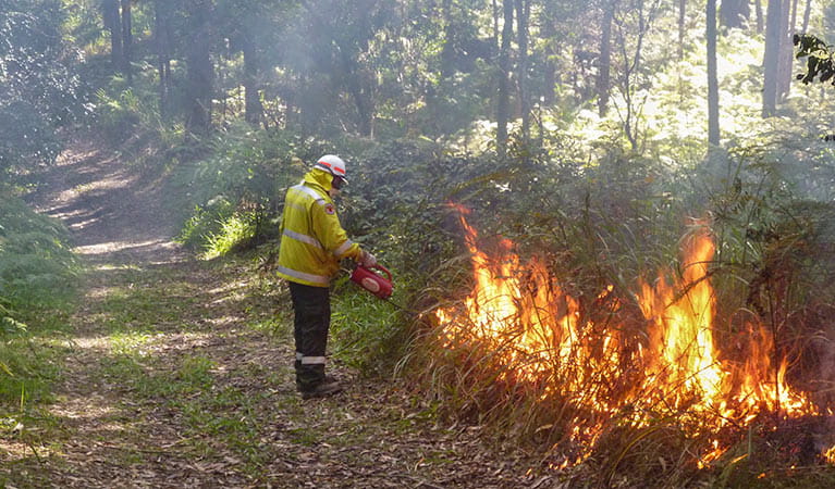 Hazard reduction burns 