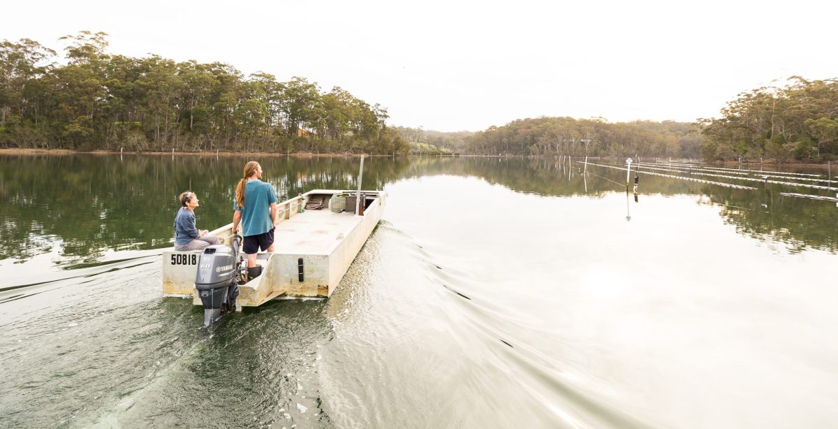Damon Fernihough is passionate about oysters and their environment.