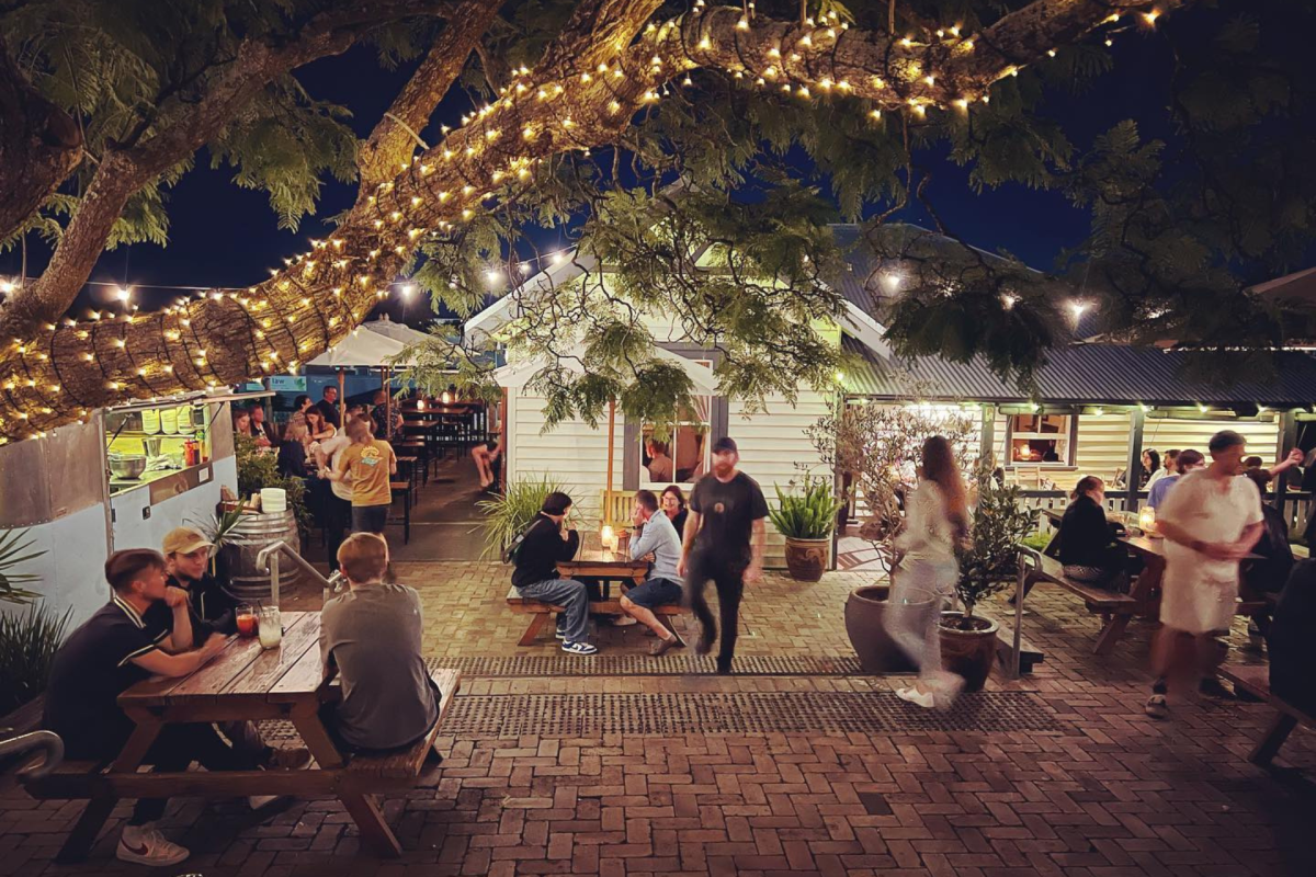 People at a cottage at night under a jacaranda tree with fairy lights