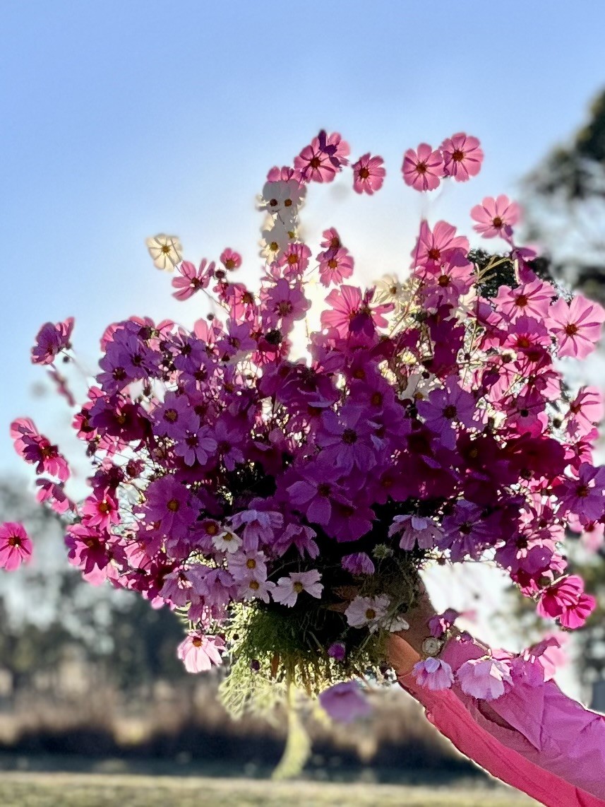 posy of flowers against the sun.
