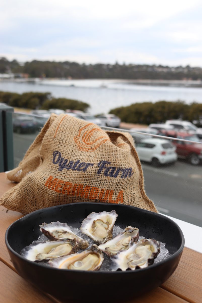 A plate of shucked oysters on a plate with a hessian sack behind reading "oyster farm merimbula". In the farbackground of photo you can see oyster leases on a lake.