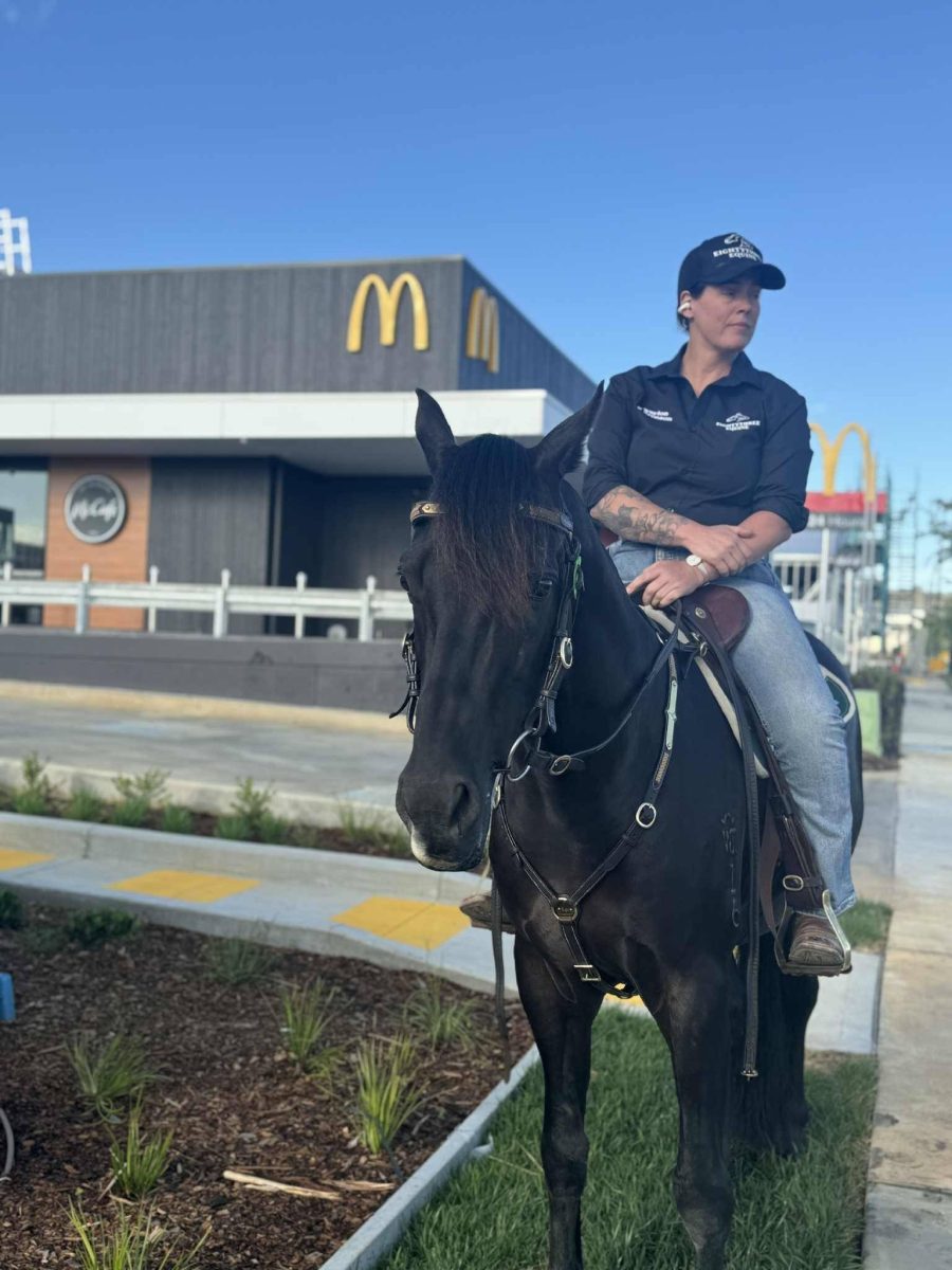 woman riding a horse near a McDonalds