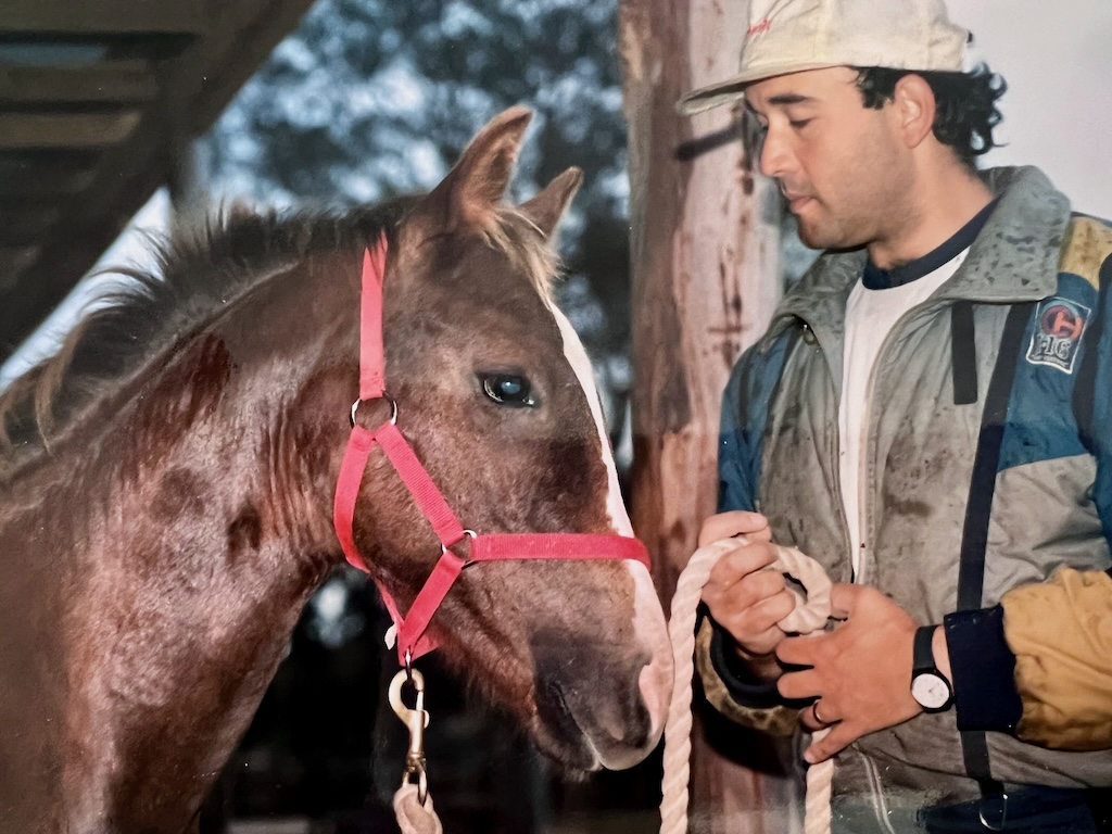 Learning to ride horses led Dr Ivan Wilden-Constantin into breeding quarter horses and entering them in competitions.