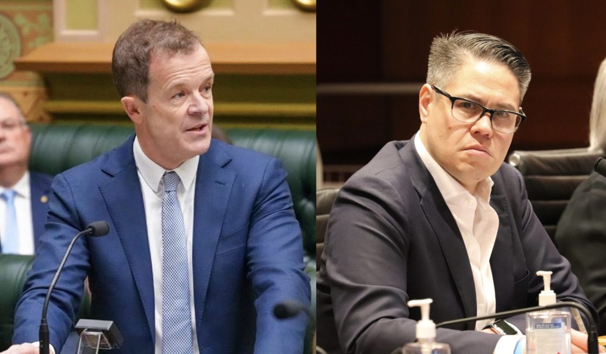 Wes Fang has called NSW Liberal leader Mark Speakman a "brumby killer". 