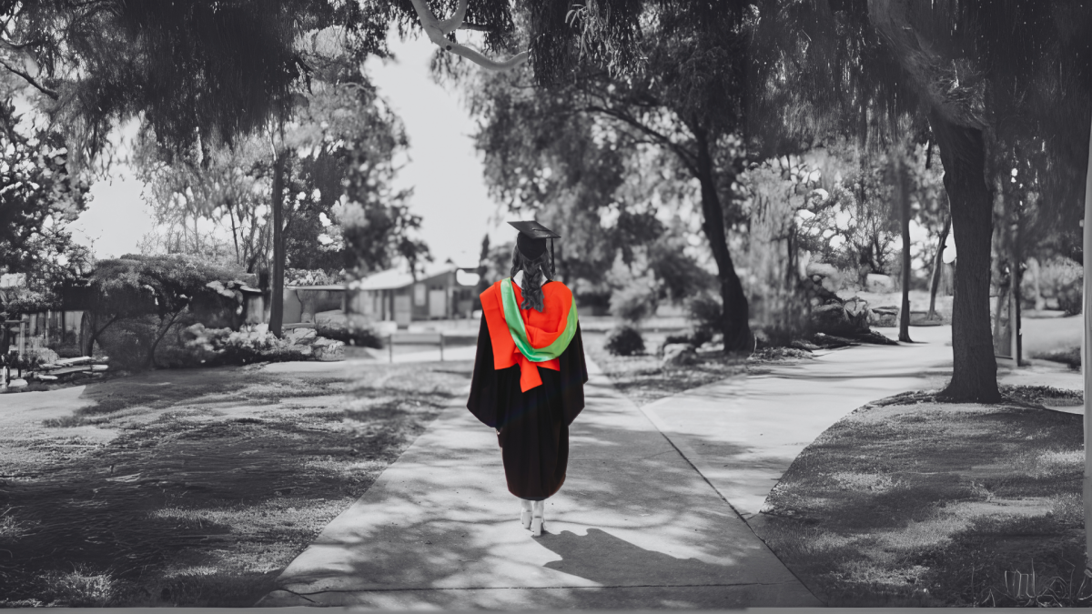image by Meg Sargant